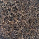 WhatsApp-Image-2024-06-20-at-7.21.10-PM-e1719086529423-150x150